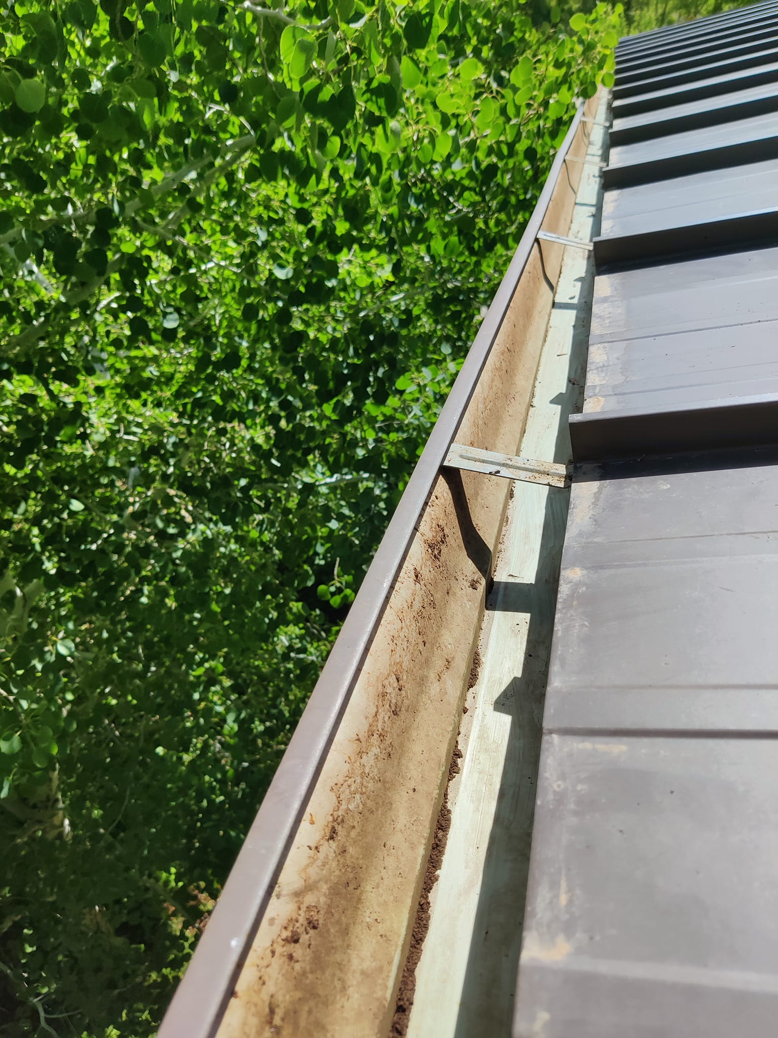 Harry's Window Cleaning Services - GUTTER CLEANING SERVICE