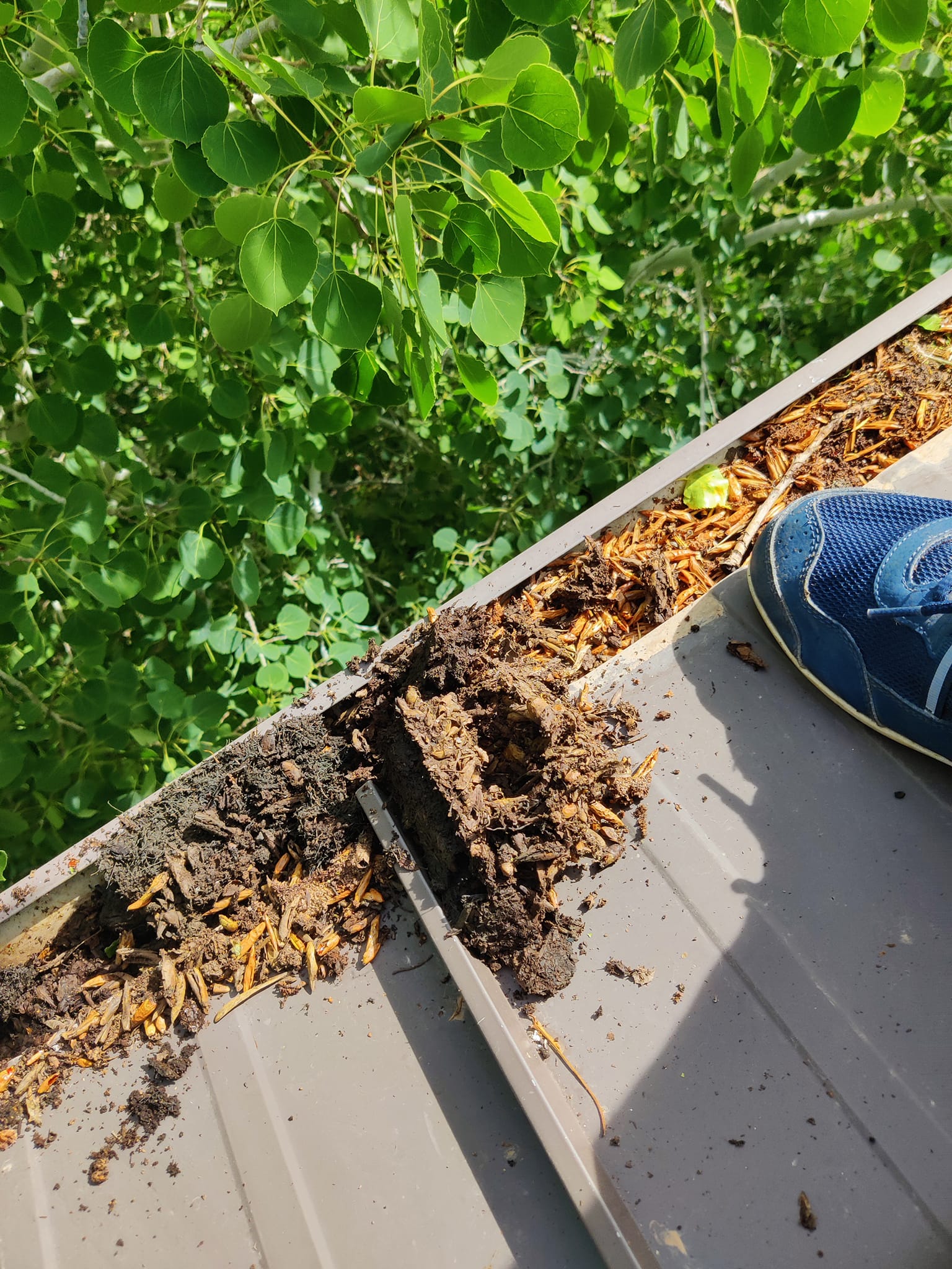 Professional Gutter Cleaning