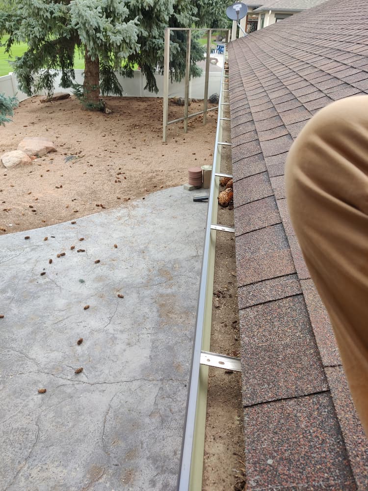 Before Gutter Cleaning